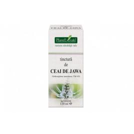 Tinctura ceai de jawa tm 120ml