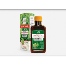 Tinctura cretisoara 200ml