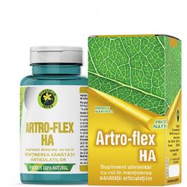 Artro-flex ha 60cps
