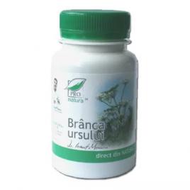 Branca ursului 60cps