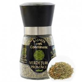 Rasn condimente verdeturi provence 45gr