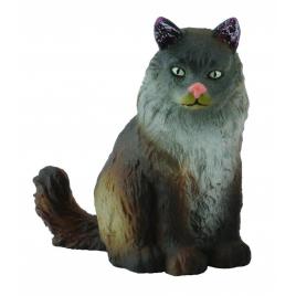 Pisica norvegiana din padure - collecta