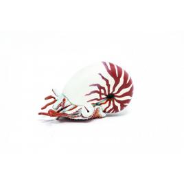 Papo figurina nautilus