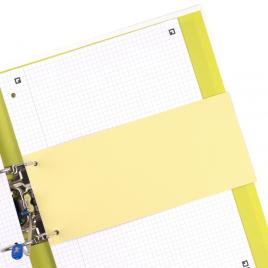 Separatoare carton oxford 10.5x24cm, 190g/mp, blue angel, 2 perforatii pe