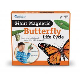 Set magnetic - ciclul vietii fluturelui
