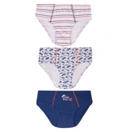 Set de trei chilotei pentru baieti - boys (marime disponibila: 3-4 ani)