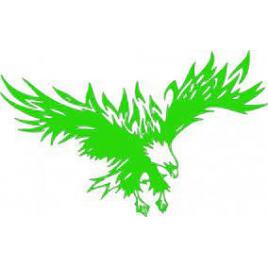 Sticker auto 