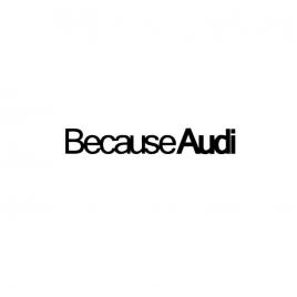 Sticker because audi 50x7.5 cm, creative rey®
