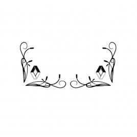 Sticker set geamuri laterale renault 30x30 cm, creative rey®