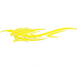 Sticker auto 