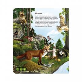 Raspundel istetel, carte lumea animalelor
