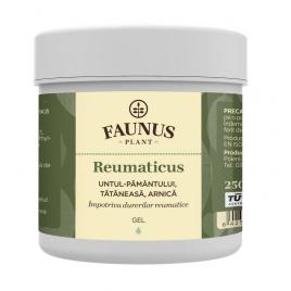 Gel reumaticus 250ml (unt.pam.tat.&arnica)