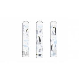 Caleidoscop pinguini, londji