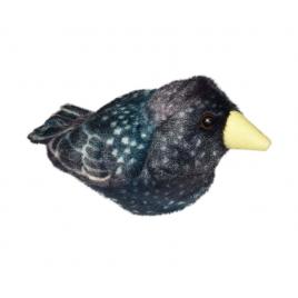 Pasare cu sunet graur - starling