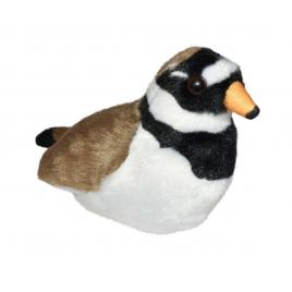 Pasare cu sunet prundaras gulerat mic - ringed plover