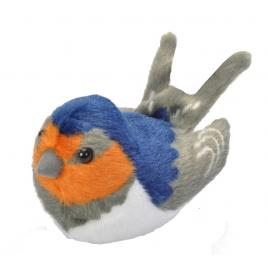 Pasare cu sunet randunica - barn swallow