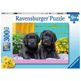 Puzzle catelusi 300 piese ravensburger