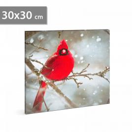 Tablou cu led - cinteză roșie - 2 baterii aa - 30 x 30 cm (58478)
