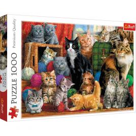 Puzzle trefl 1000 intalnirea pisicutelor