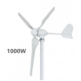 Turbina eoliana de inalta eficienta 24V, 1000W orizontal pentru uz casnic cu controler eolian MPPT Smart