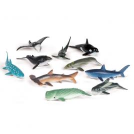 Set de sortat - animalute din ocean