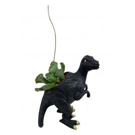 Ghivece dinozauri cu suculente