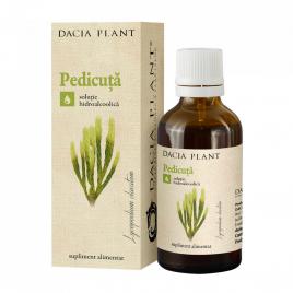 Tinctura pedicuta 50ml dacia plant