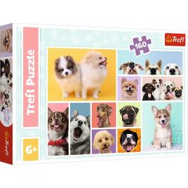 Puzzle trefl 160 prietenia catelusilor