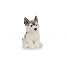 Catelus de plus husky keycraft