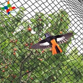 Plasa anti pasari pentru protectie copaci,pomi fructiferi 4x50 8g/mp