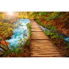 Tablou canvas 50x90 cm Peisaj 587
