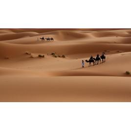 Tablou canvas 50x90 cm Peisaj 724