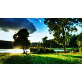 Tablou canvas 50x90 cm Peisaj 829