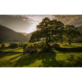 Tablou canvas 50x90 cm Peisaj 914