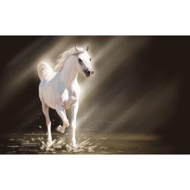 Fototapet autoadeziv Calul alb, 130x80 cm