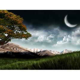 Tablou canvas 100x70 cm Peisaj 512