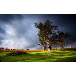 Tablou canvas 100x70 cm Peisaj 612