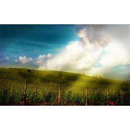 Tablou canvas 100x70 cm Peisaj 639