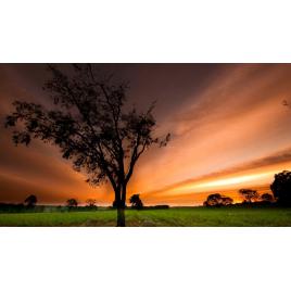 Tablou canvas 100x70 cm Peisaj 720