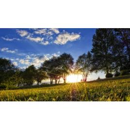 Tablou canvas 100x70 cm Peisaj 752