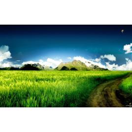 Tablou canvas Peisaj 475, 100x70 cm