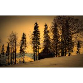Tablou canvas Peisaj 51, 100x70 cm