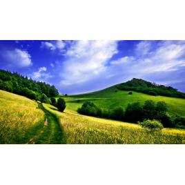 Tablou canvas 100x70 cm Peisaj 772