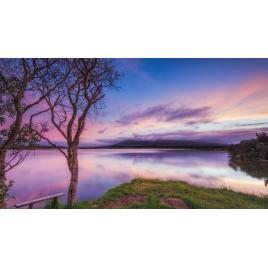 Tablou canvas 100x70 cm Peisaj 800