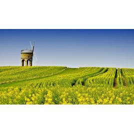 Tablou canvas 100x70 cm Peisaj 891