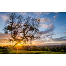 Tablou canvas 100x70 cm Peisaj 927