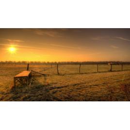 Tablou canvas 100x70 cm Peisaj 987