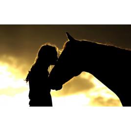 Tablou canvas Best friends, 100x70 cm