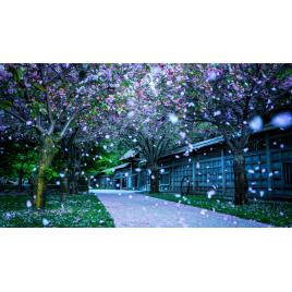 Tablou canvas Peisaje Urban 100, 100x70 cm