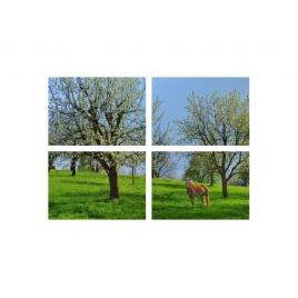 Set tablouri Multicanvas 4 piese 60x40 cm, peisaj 42